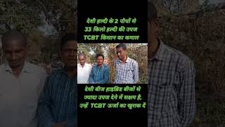 TCBT से देशी हल्दी के 2 बीज से 33 किलो हल्दी की उपज