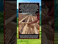 Traditional Carpentry Skills and Simple DIY Tools Deliver Best Results
