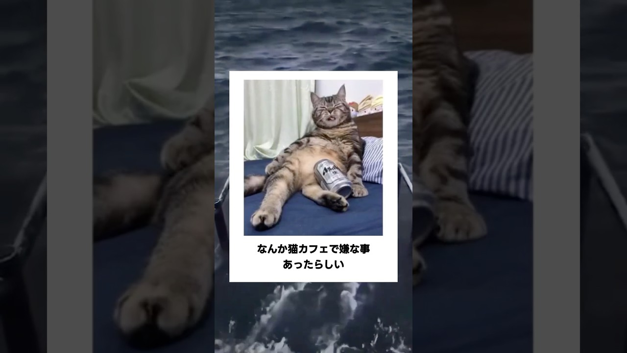 【動物】殿堂入りボケてに廃人が全力でアフレコしてみたw【第11弾】 #ボケて #アフレコ #動物