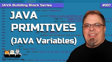 Java Primitives : Learn about Java primitive data types