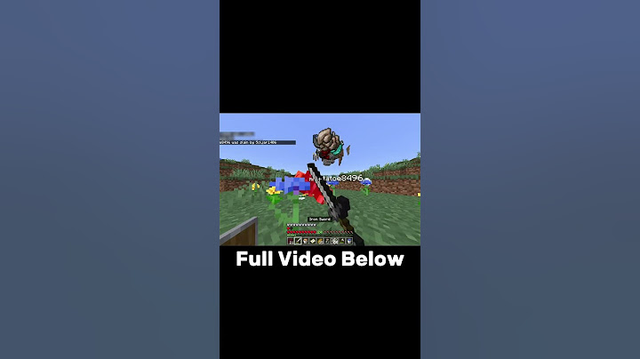 Joining My School's Lifesteal SMP
