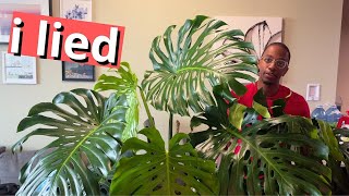 No, this Monstera isn't staked properly by Kill This Plant 29,088 views 9 months ago 4 minutes, 48 seconds