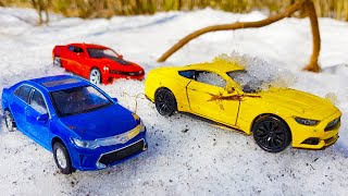 Cars drive in mud and snow in the forest | Learn colors in English