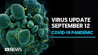 Coronavirus update September 12: 37 new COVID-19 infections in Victoria, six in NSW | ABC News