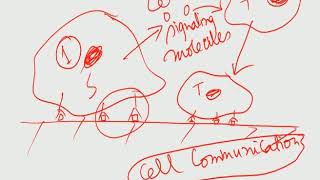 Cell-material interaction