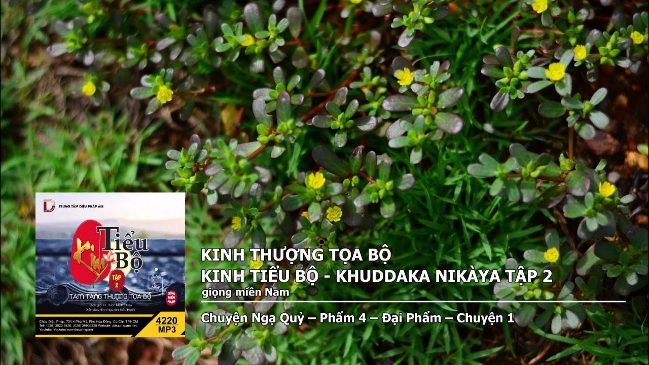 Tập 2 – Chuyện Ngạ Quỷ – Phẩm 4 – Đại Phẩm – Chuyện 1 giọng miền Nam 