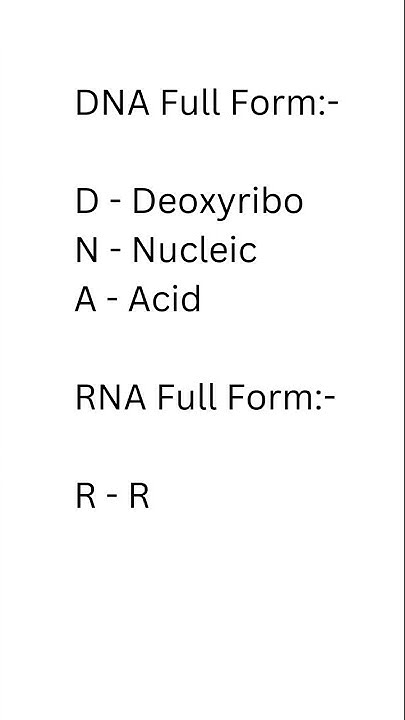 DNAfullform What Is The Full Meaning Of DNA And RNA RNAfullform Full dnafullform-what-is-the-full-meaning-of-dna-and-rna-rnafullform-full