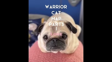 Warrior Cat Map Parts I Love  //Warriors ❤️ #shorts #foryou #warriorcats |75 sub special