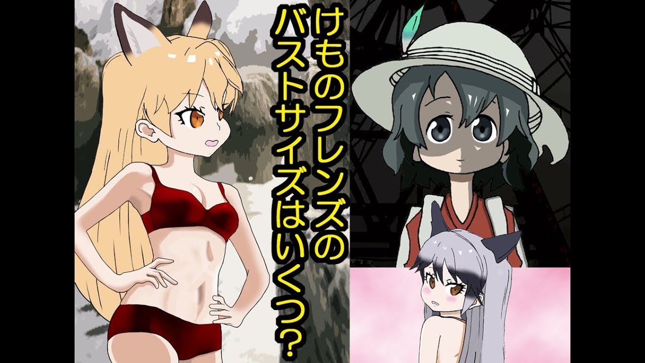 考察 けものフレンズ フレンズのバストサイズは What Is Your Bra Size In Kemono Friends Youtube