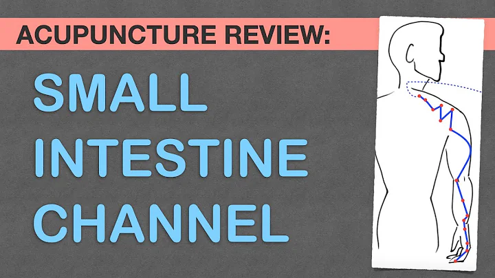 Points Review: Small Intestine Channel Acupuncture...