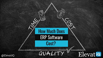 Is ERP a cheap software?