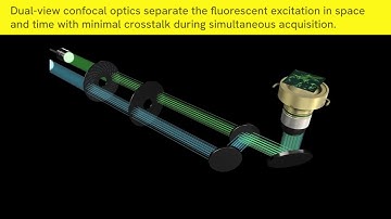 Deeper insights from your most demanding assays with the Opera Phenix Plus HCS system