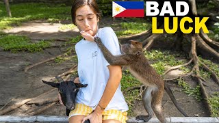 Monkeys HATE my Filipina Girlfriend 🇵🇭 Philippines Travel Vlog