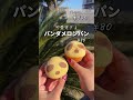 知らなきゃ損！パンのアウトレット #shorts #兵庫