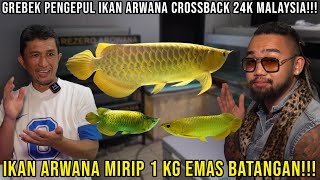 GREBEK MALAYSIA 24K CROSSBACK ARWANA FISH COLLECTORS!!! ARWANA FISH LIKE 1KG GOLD BAR!!