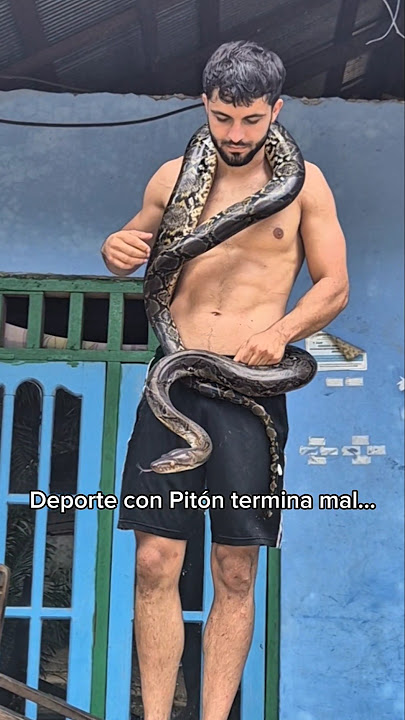 Deporte con Pitón, sale mal ! 🐍