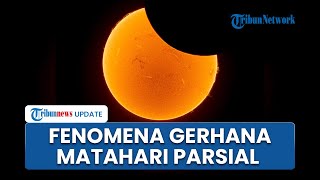 Fenomena Gerhana Matahari Parsial 21 September 2025, Ini Penjelasan BMKG dan Cara Menyaksikannya