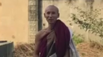 SƯ MINH TUỆ NÓI VỀ TU