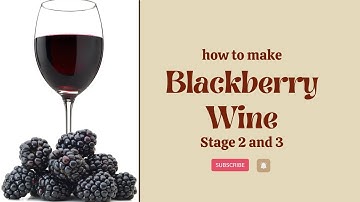 Wine making Part 2: Secondary Fermentation and Racking