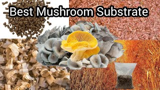 Types of Mushroom Substrate for best & high yield |V10| #mushroom #farming #substrate #businessideas
