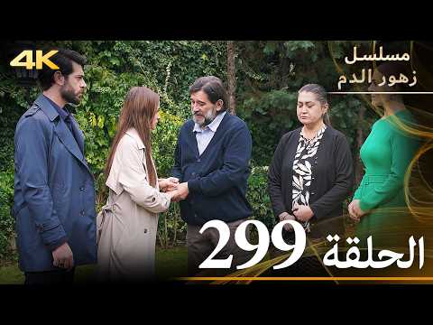 الحلقة 299 مسلسل زهور الدم مدبلج بالعربية Kan Çiçekleri جودة 4K
