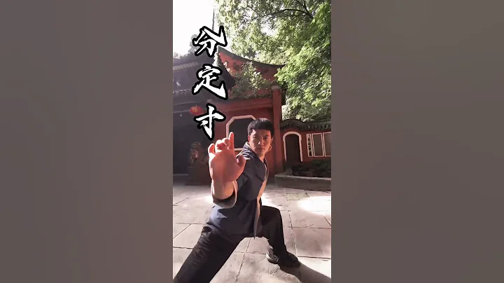 佛山黄飞鸿脚是无影脚，拳是什么拳 黄飞鸿起手式挑战 武术 传统武术 发扬传承精武精神 传承武术 - 天天要闻