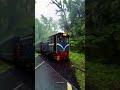 New video ki #beautiful #nature 🌿🍃#short #shorts #viralreels #vrialshort #youtubeshorts #siliguri