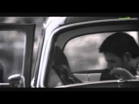        مايا نصري روح