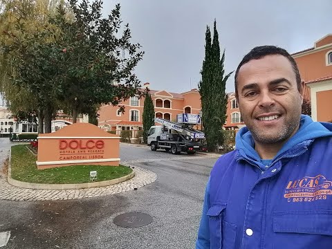 empresas de mudancas funchal