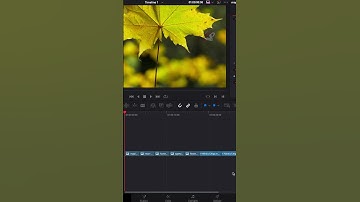 Are you still zooming and positioning each and every shot  | Here is the one click solution#tutorial