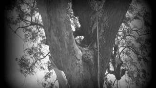 Virus By Vishal Bhise