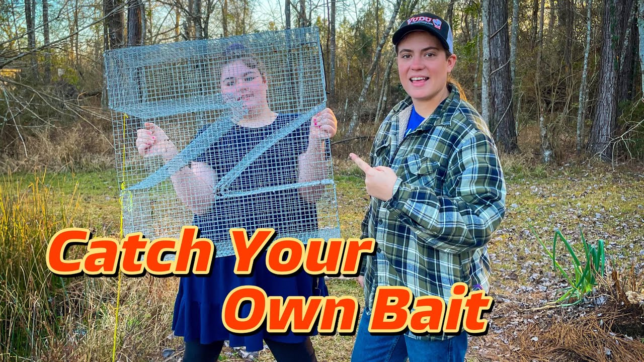 How To Catch Your Own Live Bait (ZTrap) YouTube