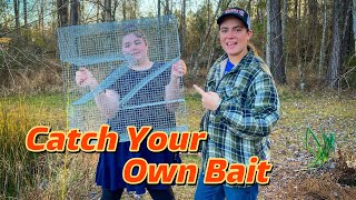 How To Catch Your Own Live Bait Z-Trap