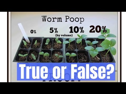 Video: Sú odliatky červíkov dobré pre všetky rastliny?