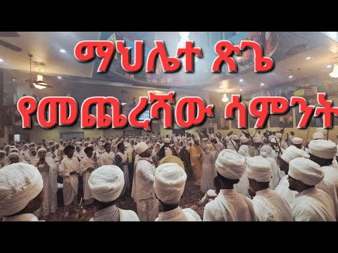 ማህሌተ ጽጌ የመጨረሻው ሳምንት