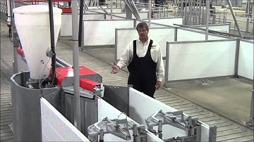 Electronic Sow Feeding Operation by AP / Schauer