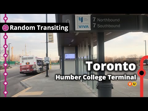 Humber College Terminal