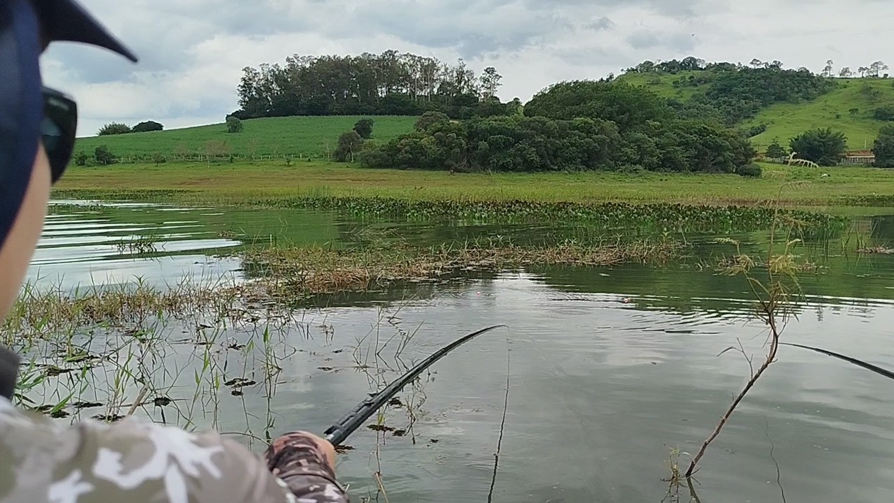 SHOW! PESCA DE TILÁPIA E TUCUNARÉ COM ISCA VIVA NO LAGO DE FURNAS