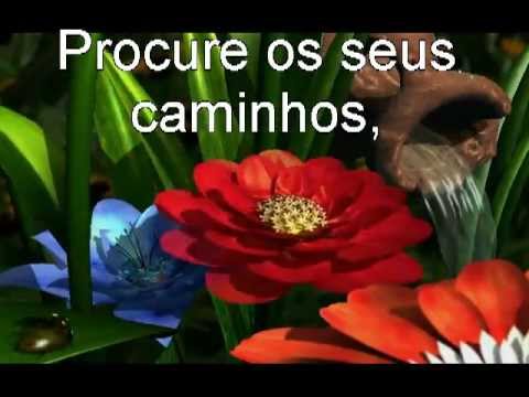 boas vindas.avi