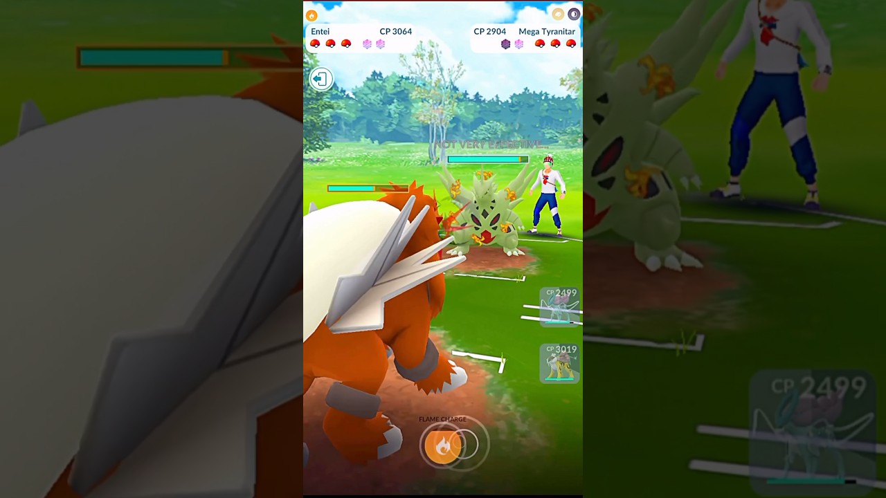 Legendary Beast Raikou, Entei & Suicune in Battle 