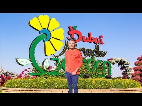 Dubai Miracle Garden 🌻| Dubai | UAE | beautiful Place | মিরাক্কেল গার্ডেন | Rabbi Official