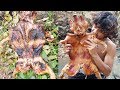 Primitive Times: Roasted pig on an open fire - Primitive Technology