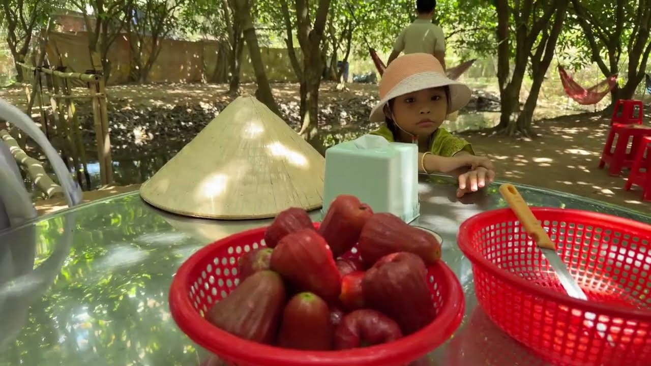 Mùng 3 Tết - Cần Thơ - Ghé Vườn Mận Bên Cồn