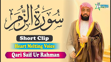 Surah Az-Zumar سورة الزمر   | Very Beautiful Voice | Qari Saif Ur Rahman Al Asim