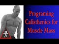 Programming Calisthenics For Building Muscle