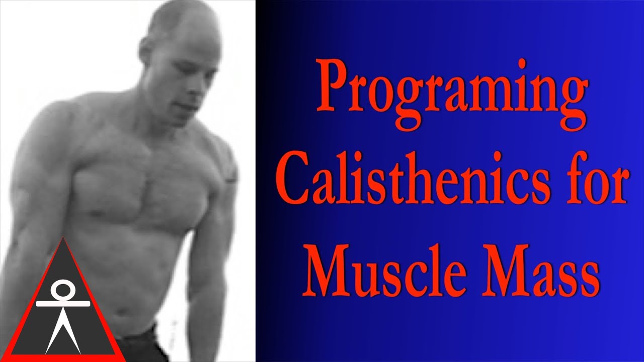 calisthenics workout program for beginners Programming Calisthenics For Building Muscle