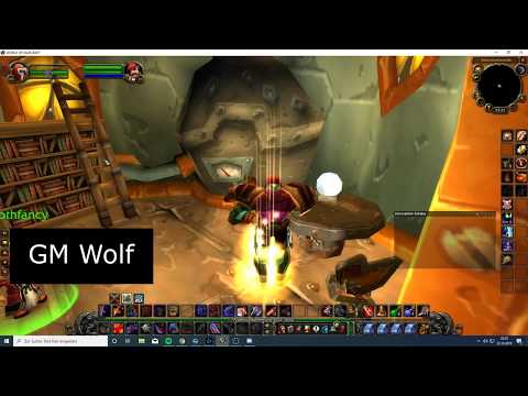 WOW Gnom / Goblin Ingenieurskunst Umskillen  | GM Wolf | World of Warcraft Classic | HD