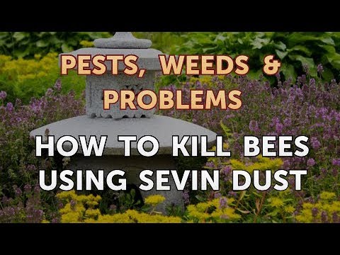 Video: Bienen Mit Sevin Dust Töten