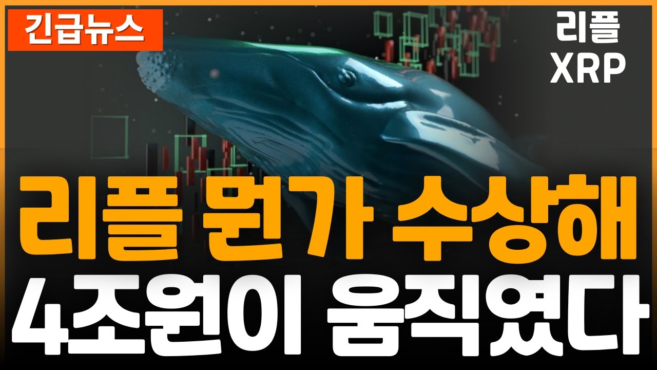 XRP 리플 뭔가 수상하다. 4조원이 움직이기 시작했다! - YouTube