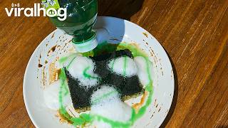 You Ordered Cake but Got Served a Sponge || ViralHog